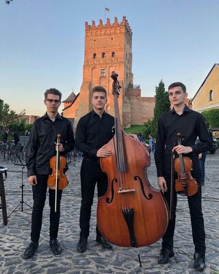 Performance live de violon en Suisse