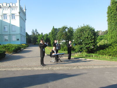 Concert de musique classique avec violon